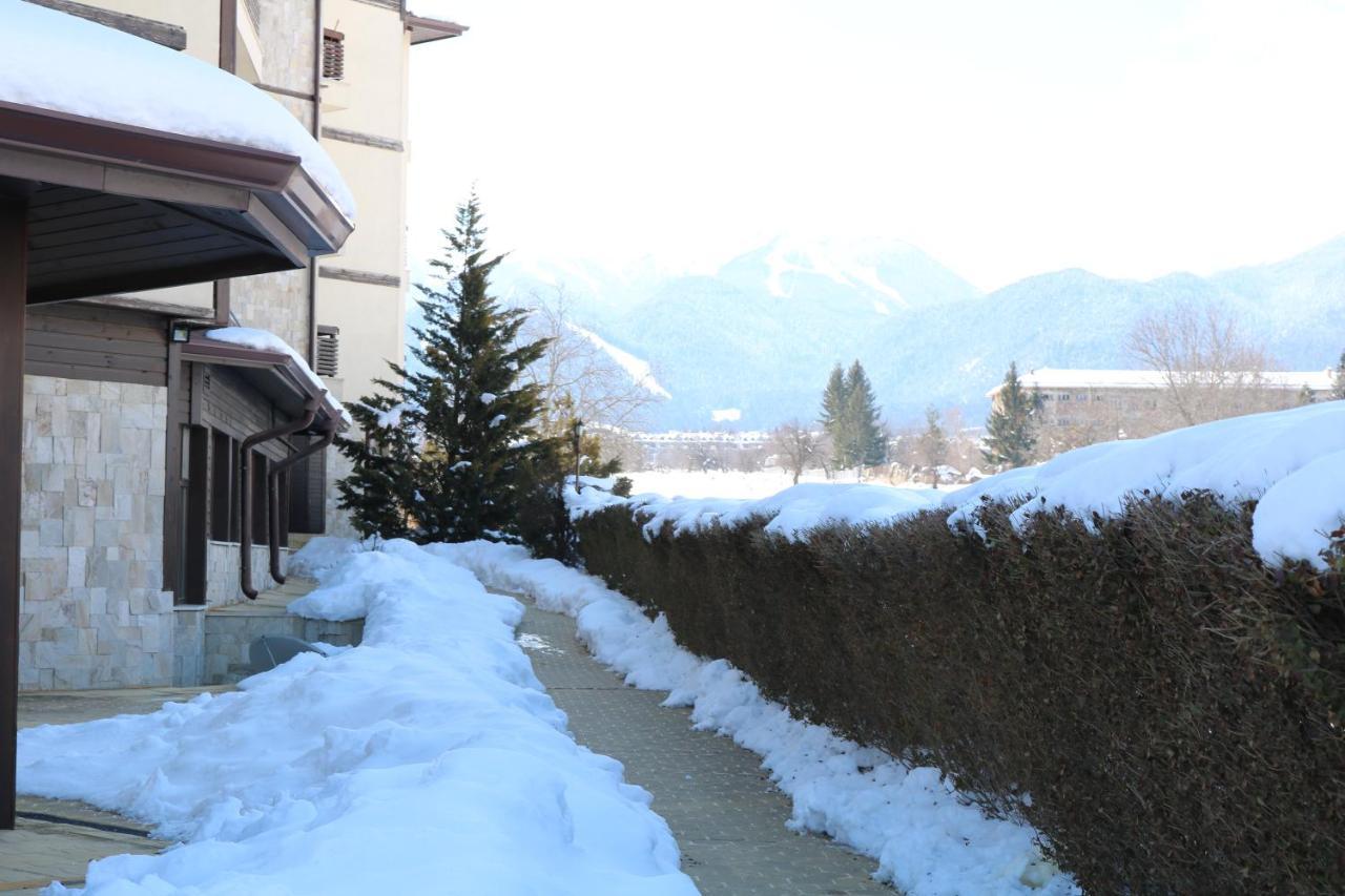 Private Apartments In Alpine Lodge 반스코 외부 사진